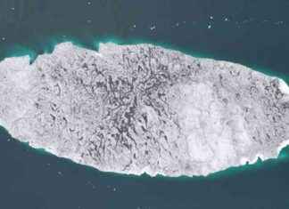 Arctic Island Vanishes: Russian School Kids Shocked by Disappearing Landmass news-08112024-163330