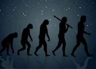 Evolution Quiz: Test Your Understanding of Natural Selection news-09112024-224537