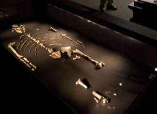 Uncovering the Remarkable Journey of the Lucy Fossil: An Icon of Human Evolution news-11112024-150513