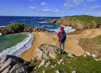 Unraveling the Mystery of the Coastline Paradox news-11112024-150705