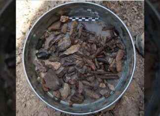 Rock-shelter in Tajikistan Reveals Ancient Human Migration Route: Homo sapiens, Neanderthals, and Denisovans news-11112024-210757