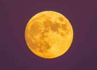 Beaver Moon 2024: Final Supermoon Rise with Seven Sisters news-12112024-151206