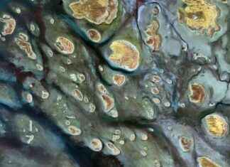 Mysterious ‘Phantom Lake’ with Stripy Gold Islands in Australian Outback news-12112024-151236
