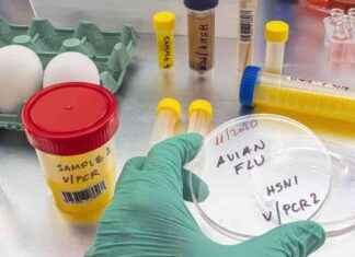 Canada’s First Human Case of Bird Flu Leaves Teen in Critical Condition: Source Unknown news-14112024-225340