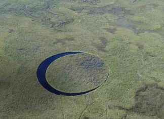 The Mysterious Floating Island El Ojo in Argentina’s Swampland – A Perfectly Round Eye news-15112024-165949