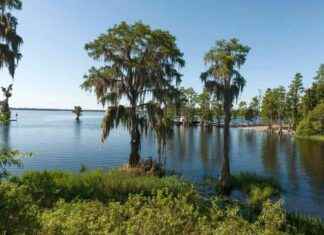 Counties Supporting Trump Also Back Climate and Conservation Initiatives news-16112024-063832