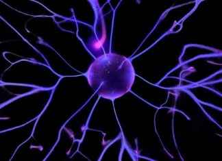 Understanding the Link Between Trauma and PTSD: A Comprehensive Study news-16112024-064038