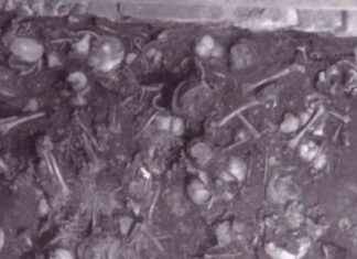 Mass Child Sacrifices in 15th-Century Mexico to Appease Rain God news-16112024-064128