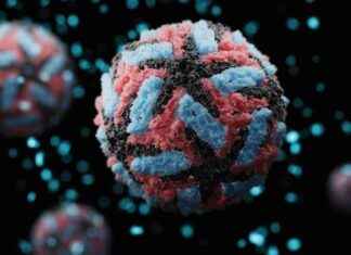 Climate Change Increases Dengue Cases in US: Scientists Issue Warning news-17112024-004622