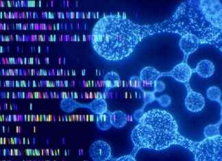 AI Model Evo Predicts Gene Mutation Effects with Unparalleled Accuracy news-17112024-185018