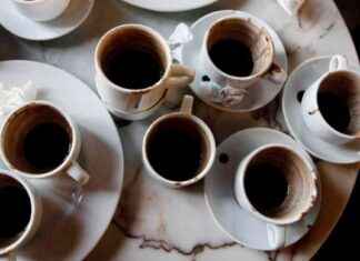 Cocoa and Green Tea: Stress-Protective Foods Against Fatty Diet news-18112024-185803