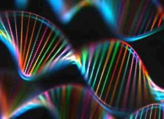 Unraveling the Mystery: How 1 Gene Links 30 Medical Conditions news-19112024-010145