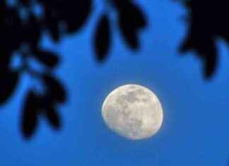 Burying Loved Ones on the Moon: A Unique Funeral Option news-19112024-190509