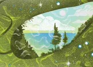 ‘The First Bite’ – Exploring the Sensory Delight of Food in a Poem news-19112024-190542