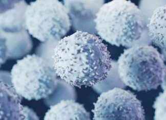 Rebooting the Immune System: Designer Cells Target Autoimmune Diseases news-19112024-190604