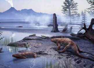 Exploring a 280-Million-Year-Old Lost World in the Italian Alps news-20112024-011012