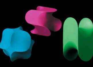 The Discovery of Natural Shapes: A Breakthrough in Mathematics news-20112024-071606