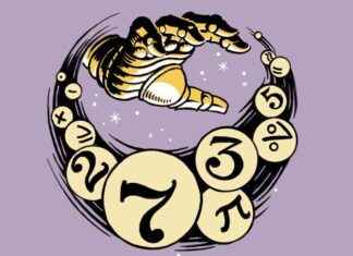 Secret System Revealed: Crack the Math Puzzle! news-20112024-071627