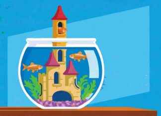 Boost Learning with the Power of Curiosity: Understanding the Science news-20112024-131751