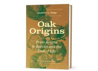 Understanding Oak Trees’ Role in Climate Change Adaptation: A Comprehensive Book Review news-20112024-131858