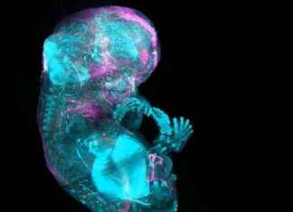Mapping All 37 Trillion Cells in the Human Body: Scientists’ Breakthrough news-21112024-053450