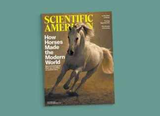 Exploring the Fascination with Horses and Hypochondria: A Curious Investigation news-21112024-113444