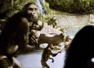 Lucy’s World: Living Alongside 4 Proto-Human Species news-21112024-113628