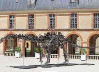 Massive Dinosaur Auctioned for Over $6 Million: Double the Length of a School Bus news-21112024-113652