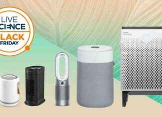 Black Friday 2024 Air Purifier Deals: Top Discounts to Consider news-21112024-113738