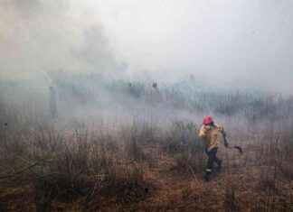 NASA Satellites Detect Significant Global Drop in Freshwater Levels news-21112024-173958