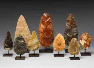 The Evolution of Tool Use by Human Ancestors: A Timeline news-21112024-233827