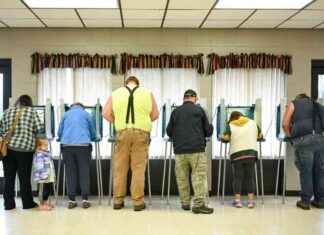 Abortion’s Election Day Victory: Why It Prevailed Below the Top Ticket news-22112024-193318