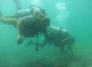 Ancient Shipwreck Found off Kenyan Coast: Possibly from Vasco da Gama’s Last Journey news-25112024-224932