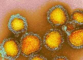 First Child in the US Contracts Bird Flu – CDC Investigates Unknown Source news-26112024-045044