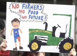 Welsh government scraps controversial tree planting targets for farmers news-26112024-225707