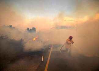 Connection Between Wildfire Smoke Exposure and Higher Dementia Risk news-26112024-225728