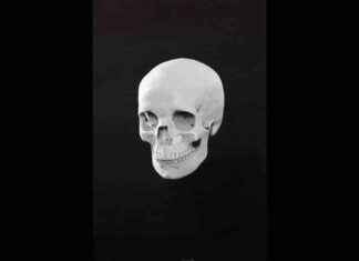 Reconstruction of ‘Vampire’ Buried with Blade – Uncover the Mysterious Tale news-26112024-225830