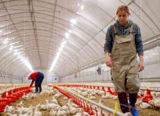 Avoiding Bird Flu: Tips and Prevention Measures news-27112024-050152