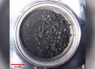 Exploring Life on Earth: Alien Asteroid Ryugu Reveals Surprising Discoveries news-27112024-231042