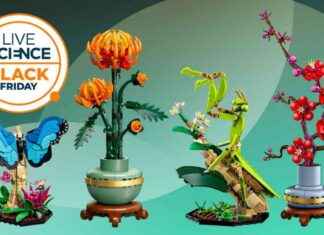 Best Black Friday 2024 Lego Deals: Botanical, Wildlife, Science & Nature Sets news-27112024-231157
