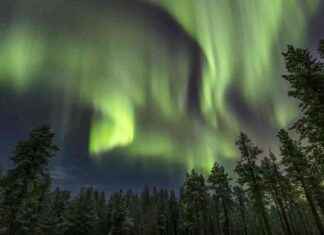 NOAA Announces Possibility of Northern Lights Illuminating US Sky on Thanksgiving Night news-28112024-051224