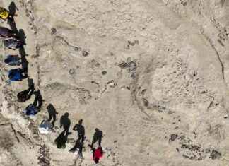 Ancient Footprints: Homo erectus Coexisted with Proto-Human Species news-28112024-232714