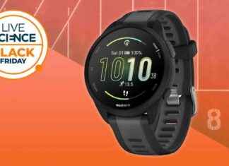 Garmin Forerunner 165 Black Friday Deal: $50 Off on Best Running Watch news-29112024-233644