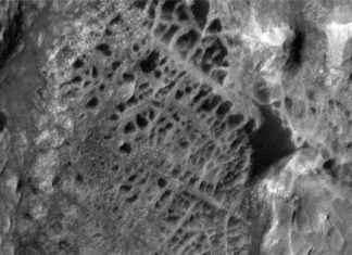 Exploring Gigantic Spiderwebs on Mars: NASA’s Curiosity Rover’s Next Mission news-29112024-233713