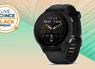 Best Value Garmin Fitness Watch at Lowest Black Friday Price news-29112024-233740