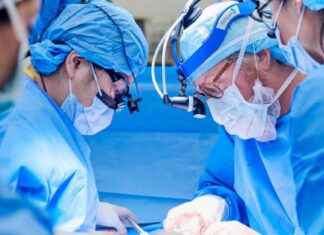 Alabama Woman Receives Rare Pig Kidney Transplant alabama-woman-receives-rare-pig-kidney-transplant