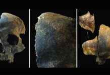 bronze-age-britain-unprecedented-violence-revealed-in-4000-year-old-bones