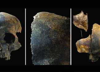 Bronze Age Britain: Unprecedented Violence Revealed in 4,000-Year-Old Bones bronze-age-britain-unprecedented-violence-revealed-in-4000-year-old-bones