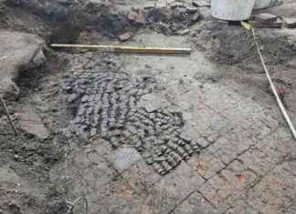 Centuries-old Bone Patched Floor Unearthed in the Netherlands centuries-old-bone-patched-floor-unearthed-in-the-netherlands