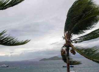 Everything about Cyclone Chido, the strongest storm in French territory in 90 years everything-about-cyclone-chido-the-strongest-storm-in-french-territory-in-90-years